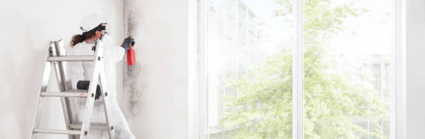  Three Forks, MT Mold Removal Pros